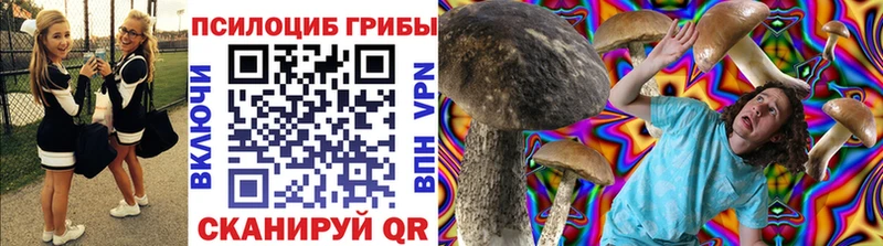 Псилоцибиновые грибы Magic Shrooms  ссылка на мегу ссылка  Кинель  продажа наркотиков 