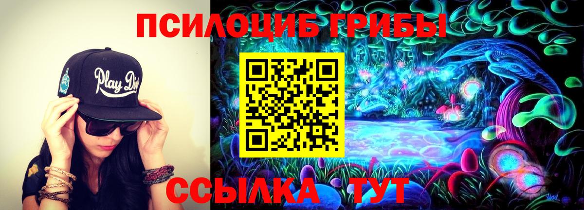 Галлюциногенные грибы ЛСД  купить  цена  Кинель  Галлюциногенные грибы MAGIC MUSHROOMS  Вход с VPN 